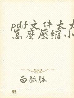 pdf文件太大怎么压缩小