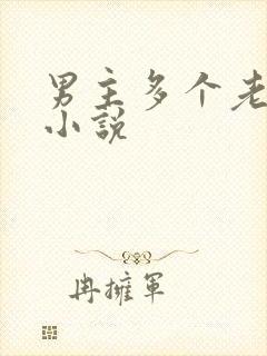 男主多个老婆 小说