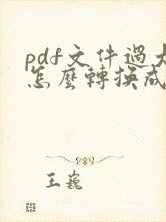 pdf文件过大怎么转换成word