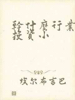 干什么行业挣钱投资小