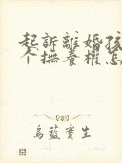 起诉离婚孩子两个抚养权怎么判