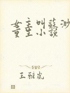 女主叫苏渺渺的重生小说