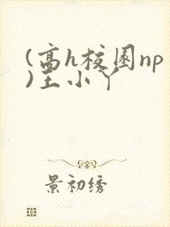 (高h校园np)王小丫