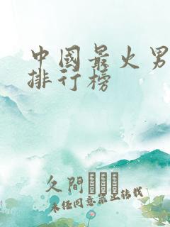 中国最火男明星排行榜