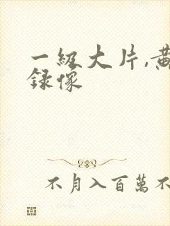 一级大片,黄色录像