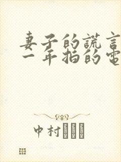 妻子的谎言是哪一年拍的电视剧
