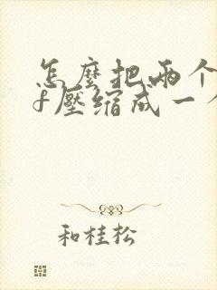 怎么把两个pdf压缩成一个压缩包