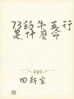 73的牛五行中是什么命
