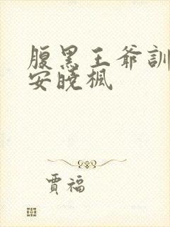 腹黑王爷训妃妃安晓枫