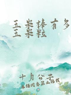 玉米棒有多少颗玉米粒