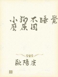 小狗不睡觉是什么原因