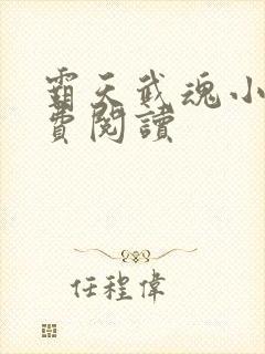霸天武魂小说免费阅读