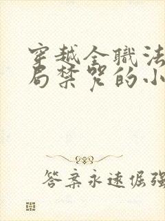 穿越全职法师开局禁咒的小说