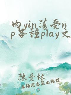 肉yin荡受np各种play文
