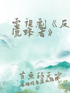 电视剧《反诈·猎蜂者》