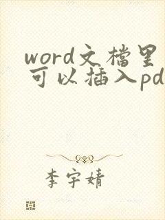 word文档里可以插入pdf吗