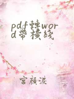 pdf转word带横线
