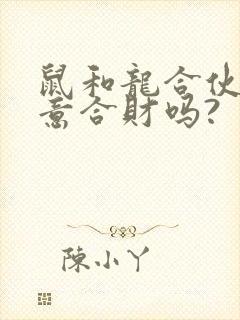 鼠和龙合伙做生意合财吗?
