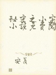 秘密之小宇后妈小说免费阅读