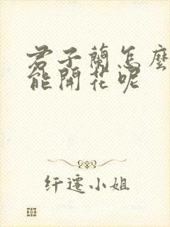 君子兰怎么养才能开花呢