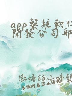 app系统软件开发公司哪家好