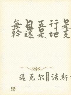 每日五行是看天干还是地支