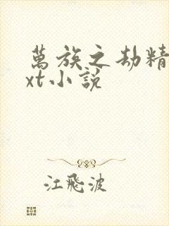 万族之劫精校txt小说