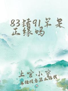 83猪91羊是正缘吗