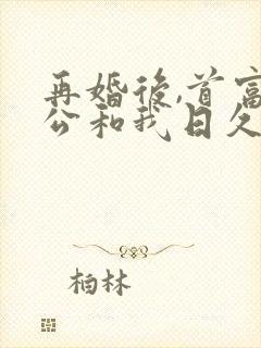 再婚后,首富老公和我日久生情