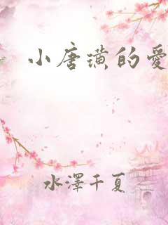 小唐璜的爱情史