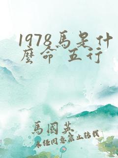 1978马是什么命 五行