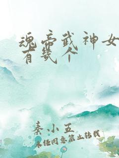 魂帝武神女主角有几个