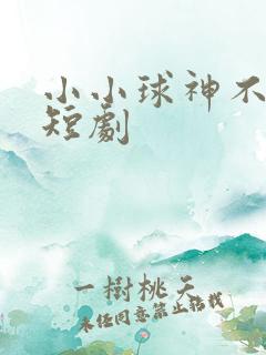小小球神不敢惹短剧