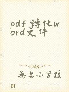 pdf 转化word文件