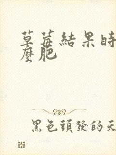 草莓结果时施什么肥