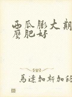 西瓜膨大期冲什么肥好