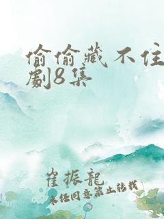 偷偷藏不住电视剧8集
