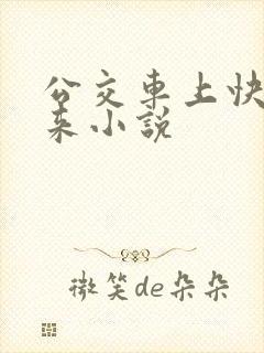 公交车上快插进来小说