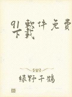 91 软件免费下载