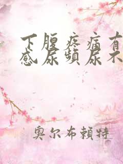 下腹疼痛有坠胀感尿频尿不尽