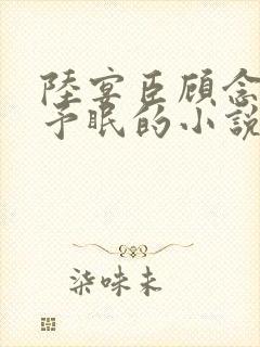 陆宴臣顾念夕姜予眠的小说免费阅读