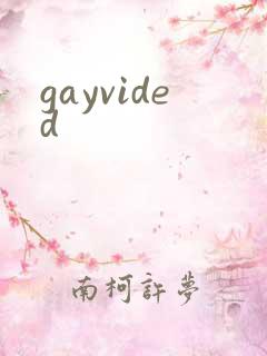 gayvided
