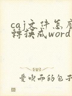 caj文件怎么转换成word免费