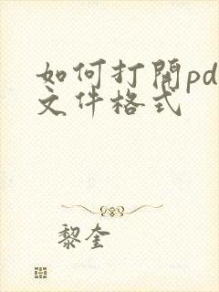 如何打开pdf文件格式