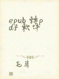 epub 转pdf 软件