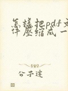 怎样把pdf文件压缩成一个压缩包