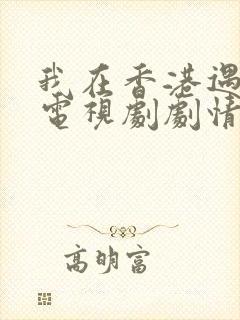 我在香港遇见他电视剧剧情