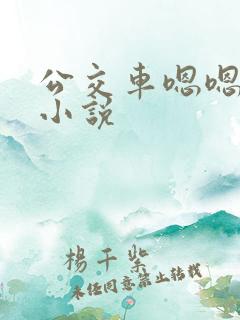 公交车嗯嗯啊啊小说