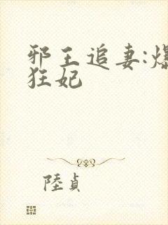 邪王追妻:爆宠狂妃