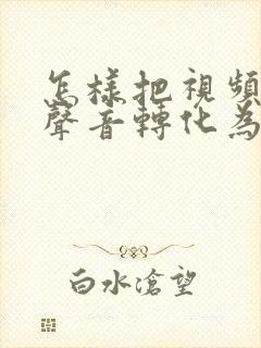 怎样把视频中的声音转化为文字